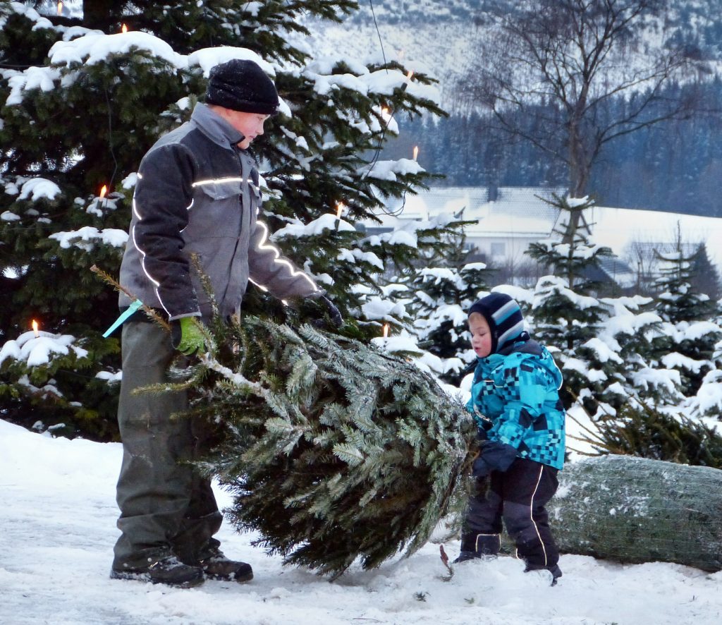 Weihnachtsbaum selber schlagen Weihnachtsbäume Müller